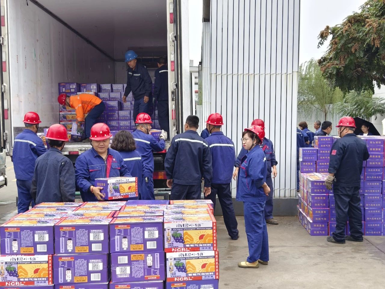 1726282565033.jpg 3.jpg