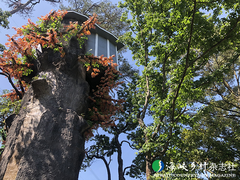 1633919158827.png image.png